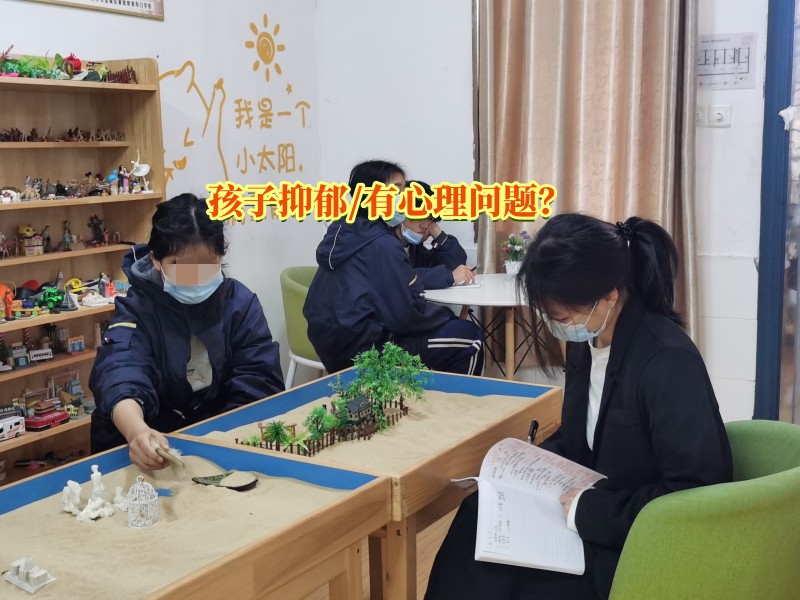 抑郁症治疗学校,心理辅导学校