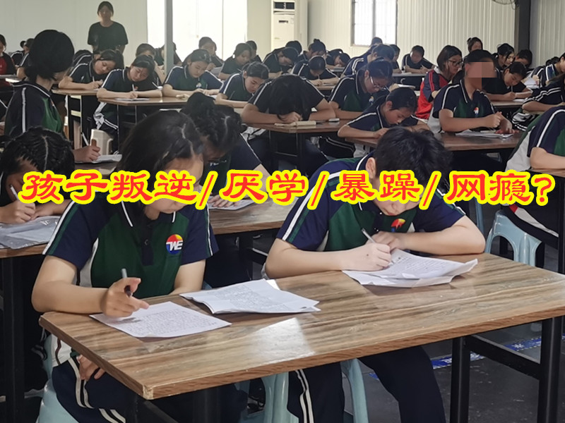 沉迷游戏戒除学校