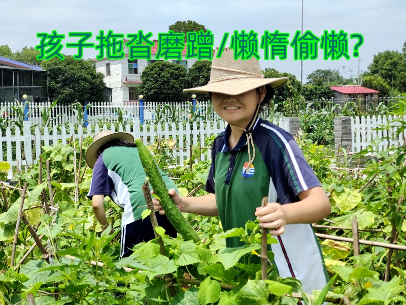 军事训练学校,封闭式军事化学校