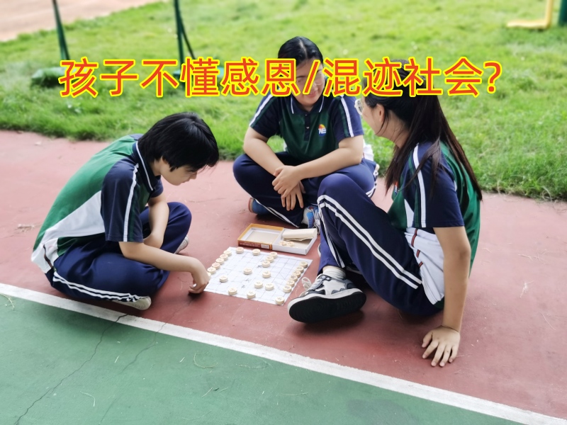 睿智教育专门学校,睿智青少年特训学校