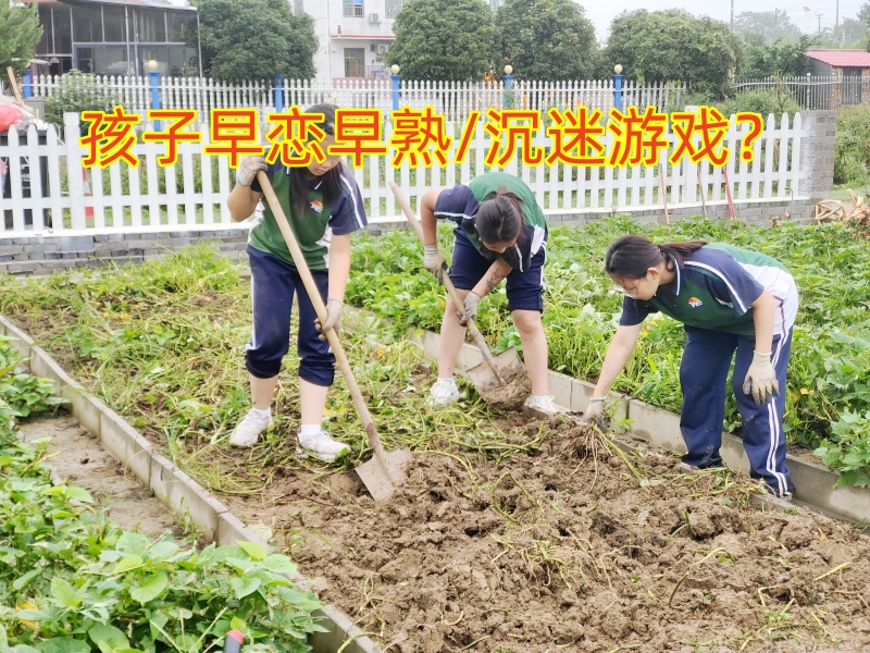 早恋教育学校,孩子早恋矫正学校