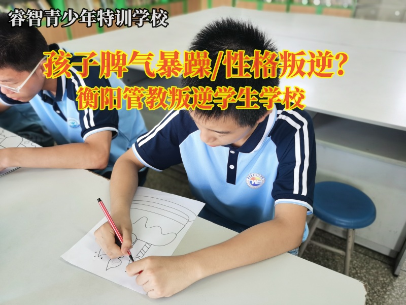 衡阳管教叛逆学生学校