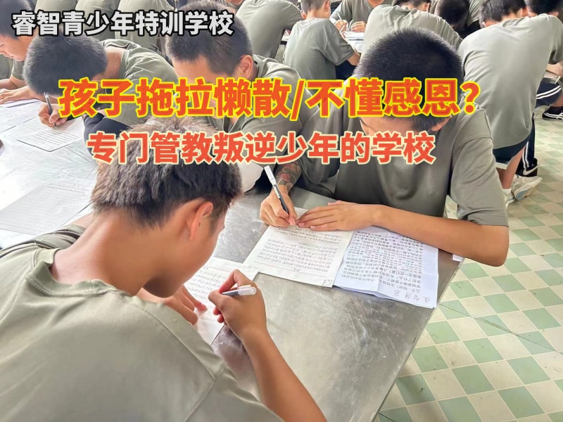 专门管教叛逆少年的学校介绍孩子拖沓的原因