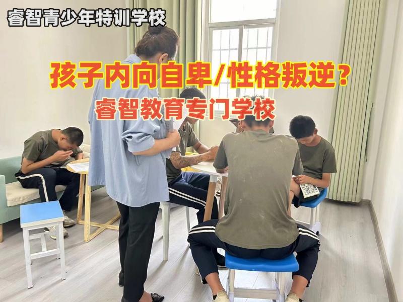 睿智教育专门学校这样开导内向的孩子