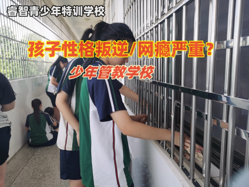 少年管教学校一般需要多少钱