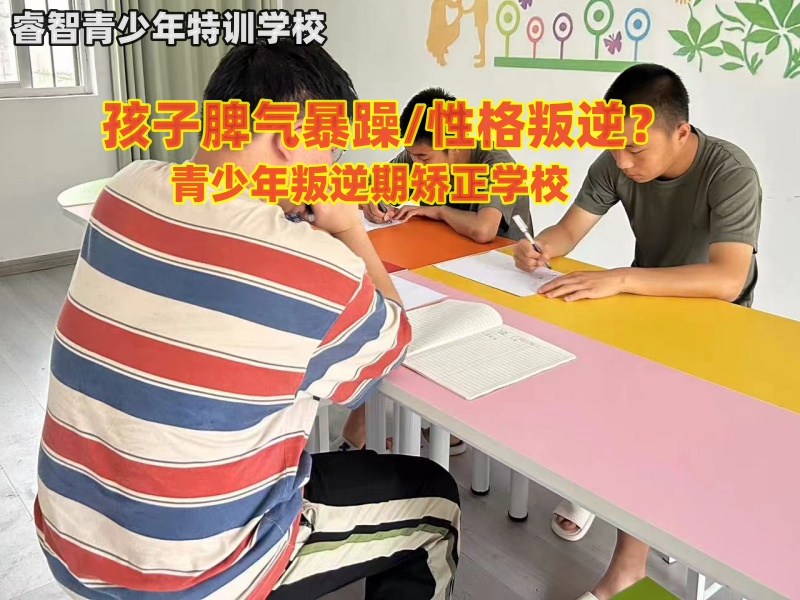 青少年叛逆期矫正学校教育孩子要控制情绪