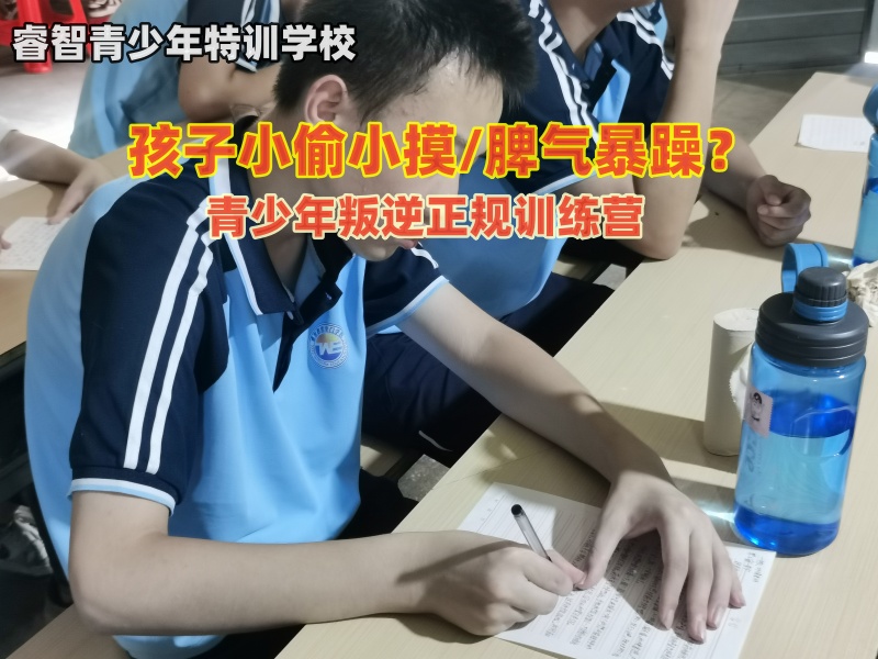 青少年叛逆正规训练营引导孩子走出小偷小摸行为