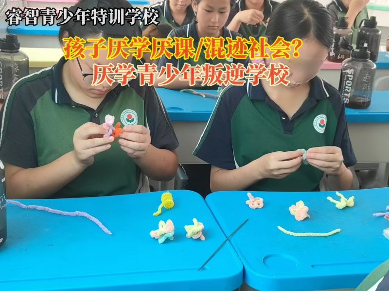 厌学青少年叛逆学校分析孩子厌学问题