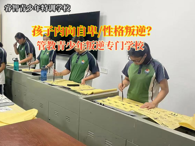 管教青少年叛逆专门学校引导孤僻孩子变得开朗