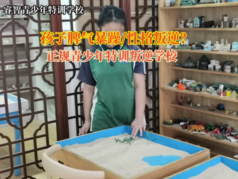 企业—正规青少年特训叛逆学校浅谈孩子情绪失控的原因