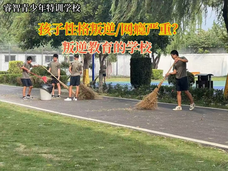 叛逆教育的学校引导孩子变得爱出门