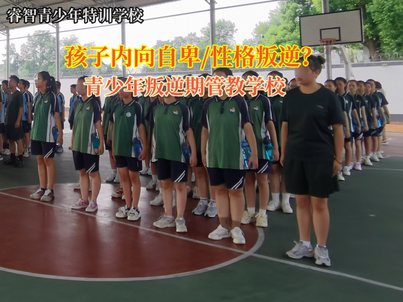 青少年叛逆期管教学校谈孩子形成孤僻性格的原因