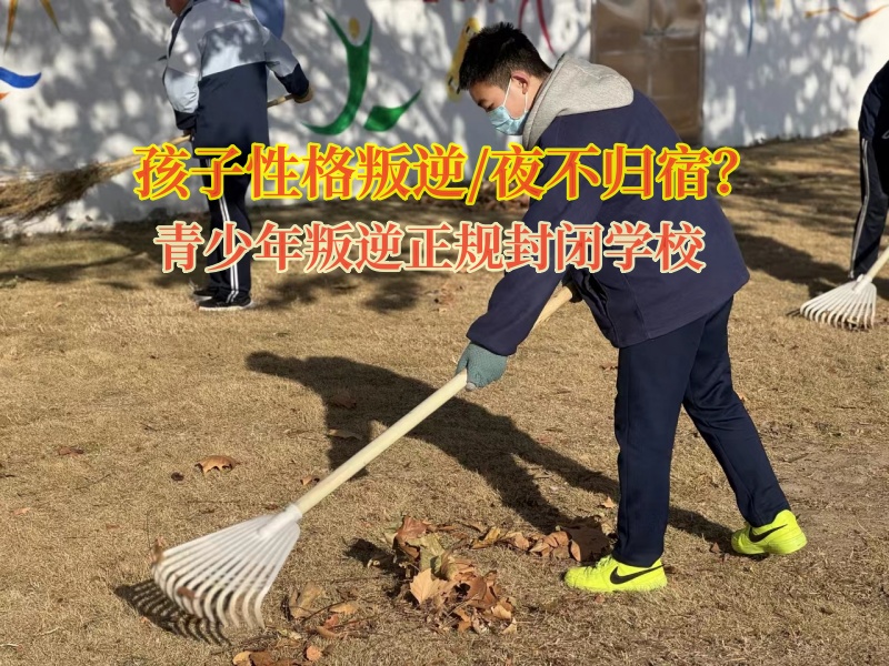 青少年叛逆正规封闭学校对孩子夜不归宿的建议