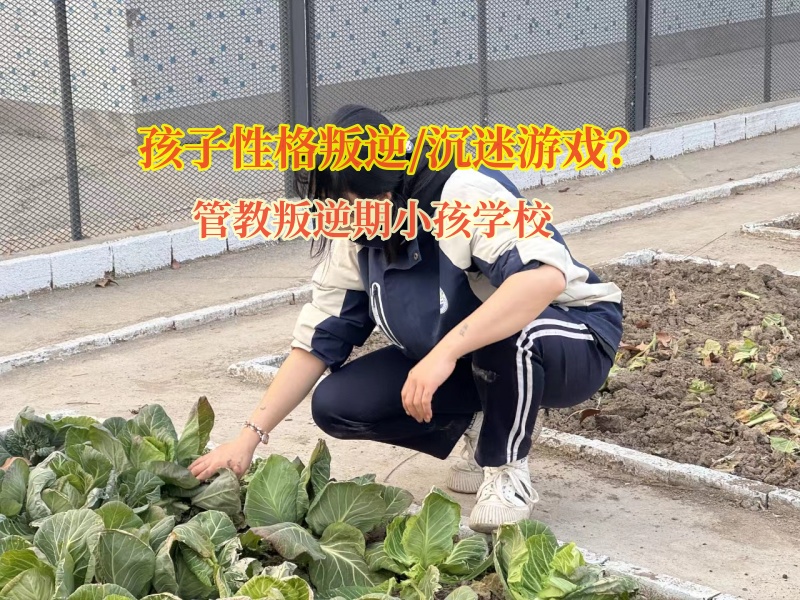 管教叛逆期小孩学校帮助孩子走出手机虚拟世界