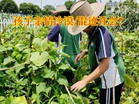 湖南正规叛逆学校：如何让亲情冷漠的孩子亲情回温？