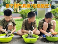 孩子叛逆期管教学校分析孩子叛逆期的具体表现